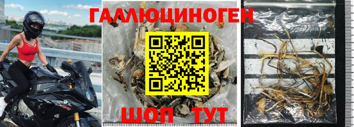 Псилоцибиновые грибы MAGIC MUSHROOMS  Галлюциногенные грибы GOLDEN TEACHER  Астрахань  Вход с VPN 