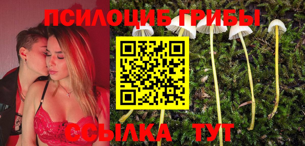 Галлюциногенные грибы ЛСД Астрахань